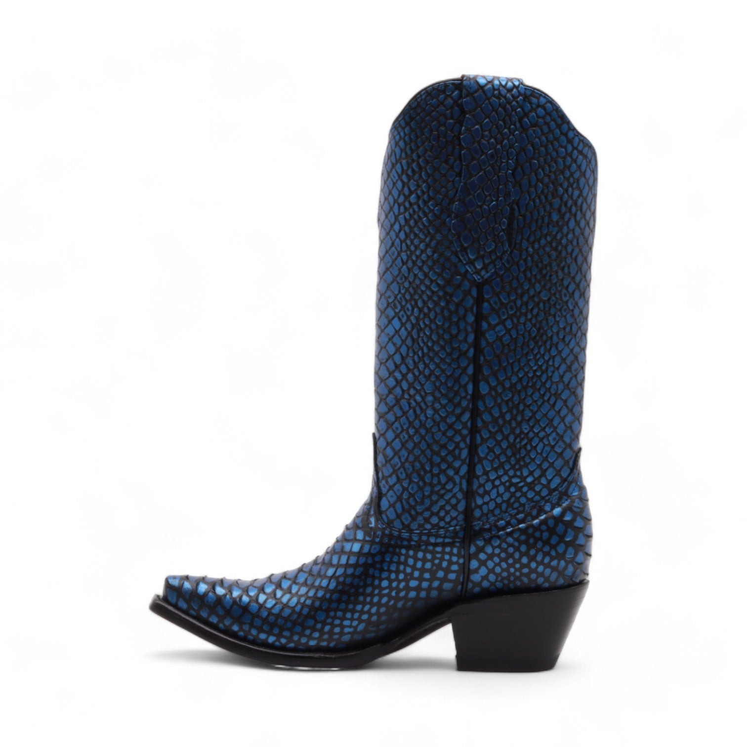 Kesha Women's Blue Snake Print Leather Boots